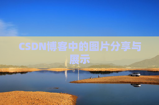 CSDN博客中的图片分享与展示